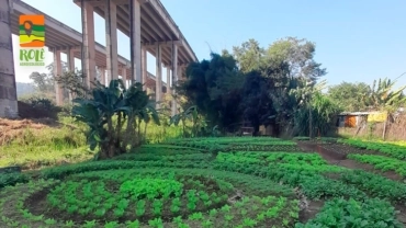 Chácara Mayara Agro Verde | Cachoeirinha